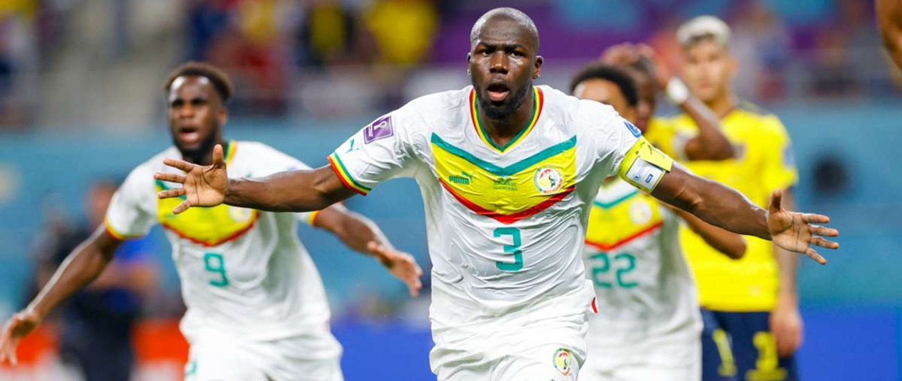 Ecuador vs. Senegal 1-2: Player ratings